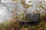 Oct 27-31,  Virtual Community Holistic Healthcare Week